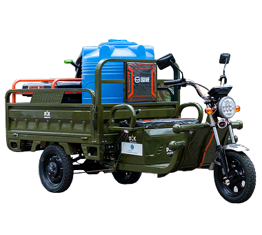 Муравей-мойщик