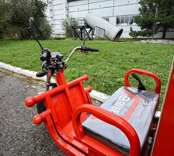 Муравей пожарный