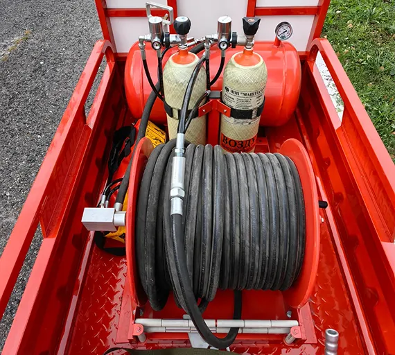 Муравей пожарный