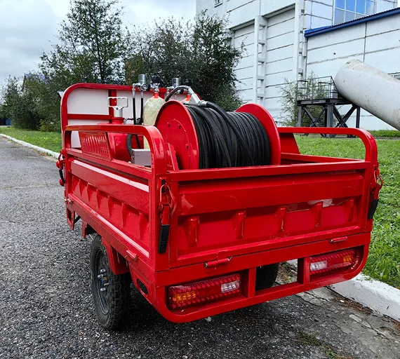 Муравей пожарный